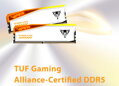 PATRIOT VIPER ELITE 5 TUF GAMING RGB HS 48GB DDR5 6000MT/s / DIMM / CL36 / 1,35V / Kit 2x 24GB