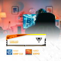 PATRIOT VIPER ELITE 5 TUF GAMING RGB HS 32GB DDR5 6000MT/s / DIMM / CL36 / 1,35V / Kit 2x 16GB