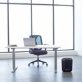 FELLOWES skartovač LX 45/ křížový řez 4x37mm/ objem koše 17 l/ stupeň utajení typ 2 - důvěrné/ černý