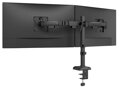 Neomounts NERO Double Flat Screen Desk Mount 10-32 