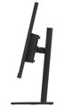 Lenovo E24-40/ 23,8" / IPS/ 1920x1080/ 16:9/ 250cd/m2cmd/ 1300:1/ 4ms/ HDMI/ DP/ USB/ LAN/ PIVOT