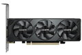 GIGABYTE GeForce RTX 5050 OC Low Profile 8G / PCIE-E / 8GB GDDR6 / 2x HDMI / 2x DP