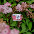 Rollei Mini Digitalkamera/ 2 MPix/ 0,96