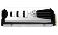 PATRIOT VIPER PV563H Heatsink 2TB SSD / Interní / M.2 NVMe PCIe Gen5 x4 / 2280 /