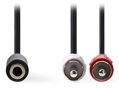 NEDIS stereofonní audio kabel/ 2x RCA zástrčka - 3,5mm zásuvka/ černý/ 20cm
