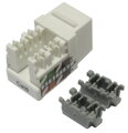 XtendLan Keystone jack RJ45 narážecí, Cat 6, UTP, bílý, 90 st., narážení shora