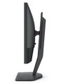 ZOWIE by BenQ 24
