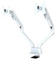 Neomounts  FPMA-D750DWHITE2 / Flat Screen Desk Mount (clamp/grommet)  / White