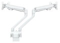 Neomounts  FPMA-D750DWHITE2 / Flat Screen Desk Mount (clamp/grommet)  / White