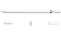Apple Pencil (1st gen) (2022)