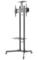 Neomounts  PLASMA-M1700E / Mobile Flat Screen Floor Stand (height: 154-170 cm) / Black
