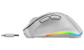GENIUS Ergo 9000S Pro Pearl White/ duální Bluetooth + 2,4GHz/ 2400 dpi/ bezdrátová/ 6tlačítková/ tichá/ bílá