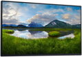 DELL P2425HE BEZ STOJANU/ 24
