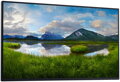 DELL P2725H BEZ STOJANU/ 27