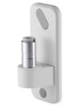 Neomounts  AWL75-450WH / wall adapter for DS70/DS75-450WH1/2 / White
