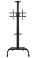 Neomounts  PLASMA-M1900E / Mobile Flat Screen Floor Stand (height: 130-162 cm) / Black