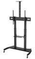 Neomounts  PLASMA-M1950E / Mobile Flat Screen Floor Stand (height: 134-166 cm) / Black