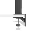 BenQ LCD PD3205UA 31,5