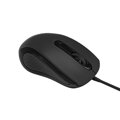 PLATINET OMEGA MYŠ, USB-C, OFFICE 1200DPI 1,5m kabel, černá