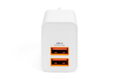 DIGITUS USB nabíječka 2x USB-A, 15,5W