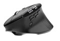 Acer Smart Fit Vertical Mouse - Black, Wireless RF 2.4GHz + BT (2x) + USB, vertikální (pro praváky), citlivost 8000 DPI