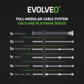 EVOLVEO G850 zdroj 850W, 80+ GOLD, ATX 3.1, PCIe 5.1, aPFC, 140mm ventilátor, modulární, záruka 3 roky, bílý