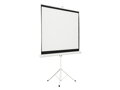 AVELI elektrické projekční plátno, 488x366 (4:3) (240