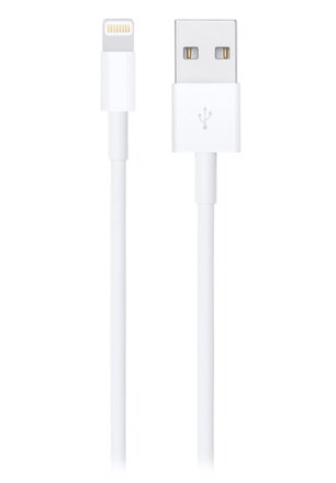 Apple Lightning to USB Cable (1m)