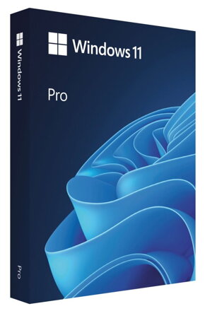 Microsoft WINDOWS 11 Pro 64-bit Czech USB FPP - krabice