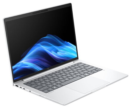 HP Elitebook 8 G1a/ Ryzen™ 7 250/ 32GB DDR5/ 1TB SSD/ Radeon™ Graphics/ 14" WUXGA,matný/ W11P/ stříbrný