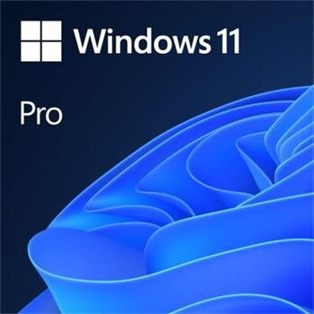 OEM GGK Win 11 Pro 64Bit CZ (legalizace) DVD