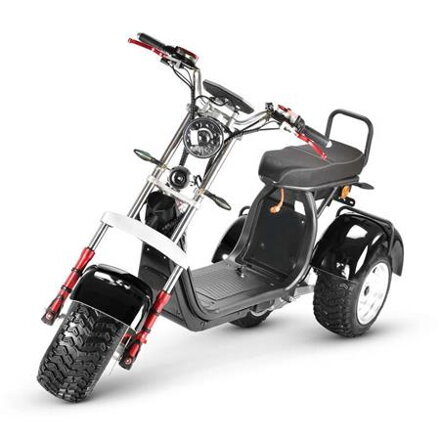 ViaGo Falcon 2x2000W, 45Km/h, 50Km range, 60V/20Ah, včetně baterie