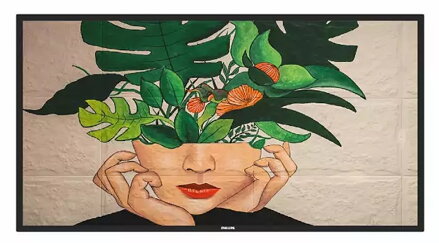 Philips LCD 55BDL4511D - 55" D-Line, 4K UHD, 24/7, 500cd/m2, 500 000:1, 8ms, LAN