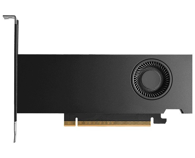 HP NVIDIA RTX PRO 2000 Blackwell 16GB 4mDP Graphics
