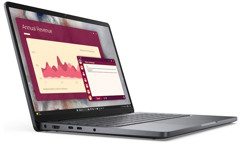 DELL Pro 14 PC14255/ AMD Ryzen 5 220/ 16GB/ 256GB SSD/ 14" FHD+/ FPR/ W11Pro/ 3Y PS on-site/ bez adaptéru