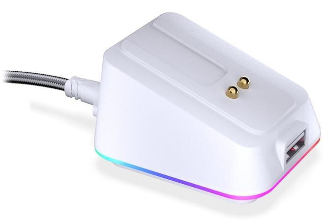 Endorfy Dokovací stanice, pro Endorfy LIV Wireless a LIV Plus Wireless, USB-C, USB, RGB, bílá Endorfy Dokovací stanice, pro Endorfy LIV Wireless a LIV Plus Wireless, USB-C, USB, RGB, bílá