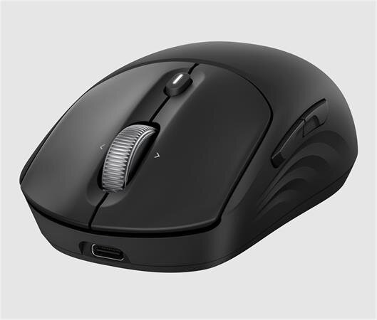HP 705 Rechargeable Wireless Mouse