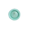 JBL Flip 6 Bluetooth Wireless Speaker Teal EU