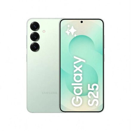 Samsung SM-S931B Galaxy S25 5G 12GB RAM 128GB Mint EU