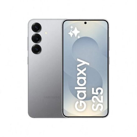 Samsung SM-S931B Galaxy S25 5G 12GB RAM 256GB Silver EU - ONLY BOX DAMAGE